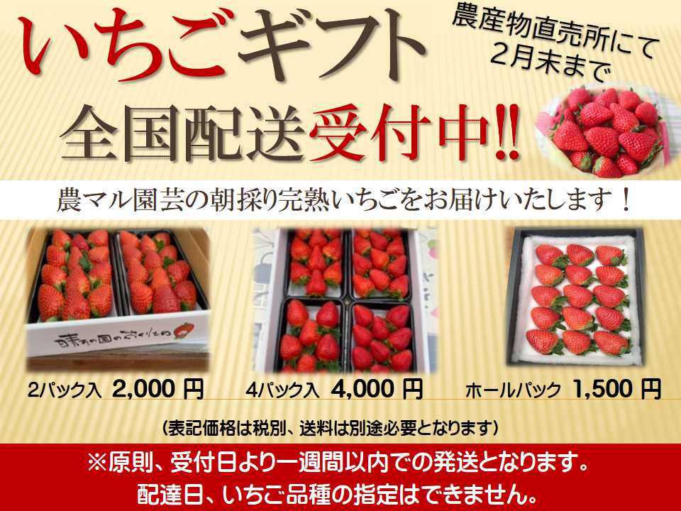 セール店舗や値段 いちご様 専門出品 - トップス