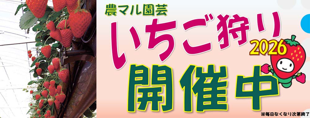 いちご狩り