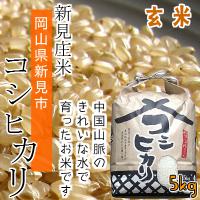 新見庄米　コシヒカリ　5kg 【玄米】