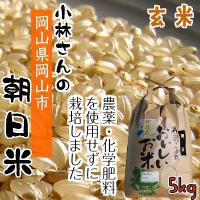 小林さんの　無肥料栽培　朝日米　5kg 【玄米】