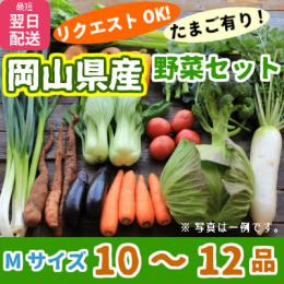 野菜セットMサイズ☆旬の野菜10〜12品