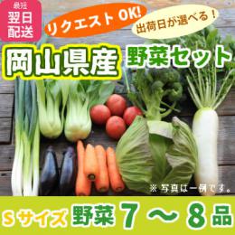 野菜セットSサイズ☆旬の野菜7〜8品