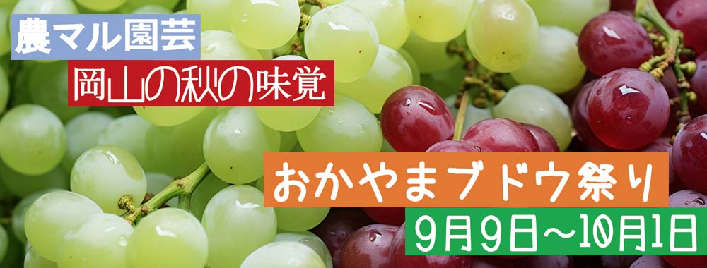 ぶどうまつり