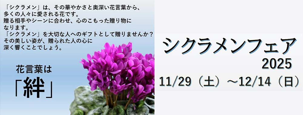 シクラメンフェア