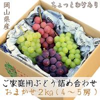 【ご家庭用】　おまかせぶどう詰め合わせ2kg