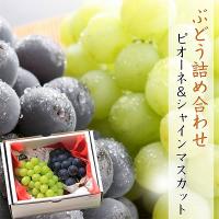 【簡易梱包】農マルオリジナル　ぶどう詰め合わせ2kg箱